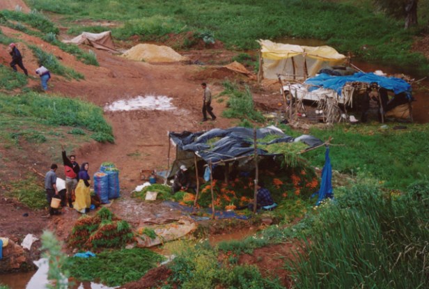 ai%cc%88n-chkeff-2004-d