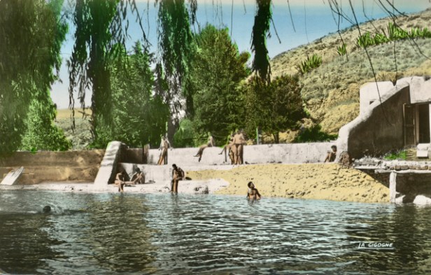 ai%cc%88n-chkeff-annee-50