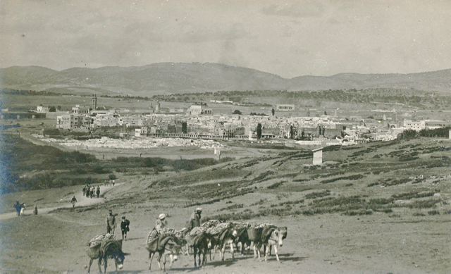 vue-mellah