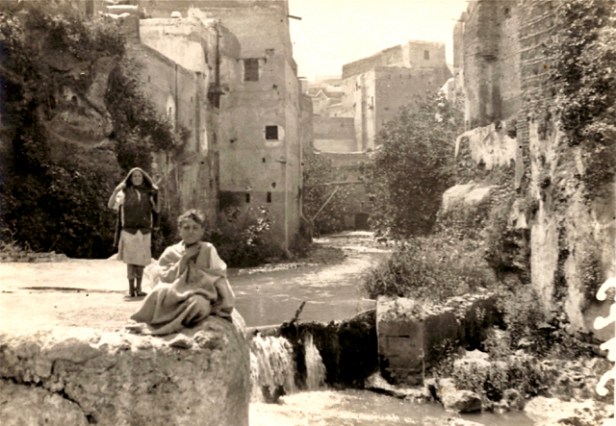 057-au-bord-de-loued