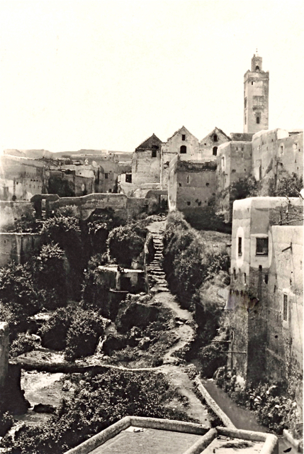 058-oued-et-mosquee-1