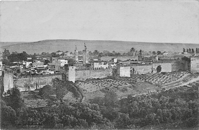 004 Vue générale