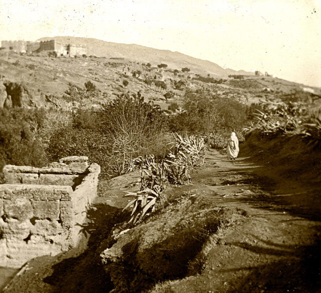 1917-la-campagne-autour-de-fes-04