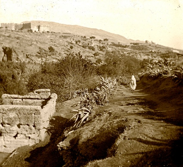 1917-la-campagne-autour-de-fes-04