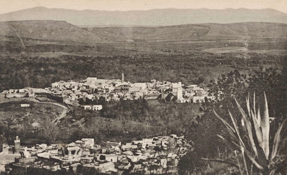 011 Vue générale