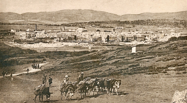 015 Vue générale - copie (1)