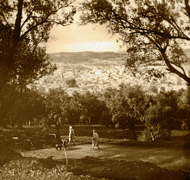 1917 Fes Vue panomarique de Fes el Bali 04 copie (1)