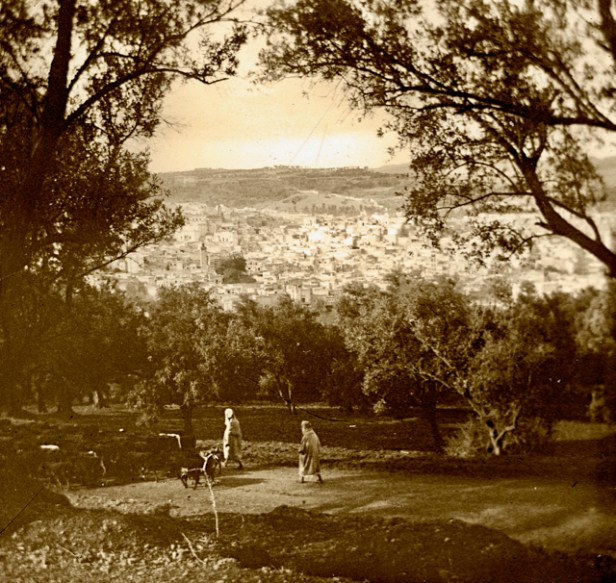 1917 Fes Vue panomarique de Fes el Bali 04 copie (1)