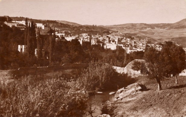 Vue prise du borj sud - copie (1)