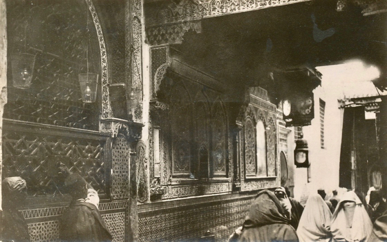 021 Tronc et rue (1)