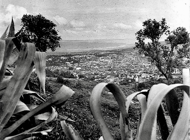 Vue générale 01 - copie (2)
