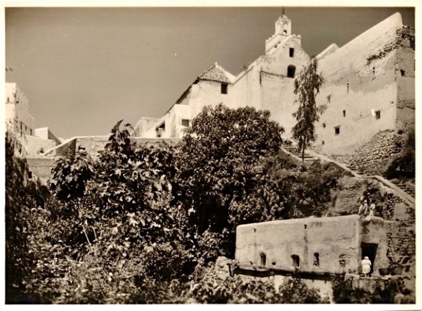 data_files_file_834.cache.php (1)