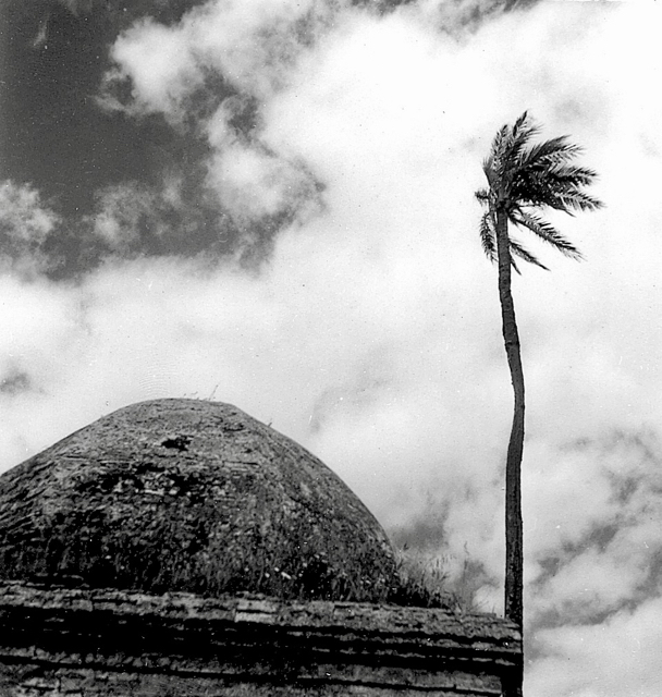 Sidi Bou Beker el Arabi 04