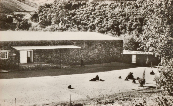 Toum entrée (2)