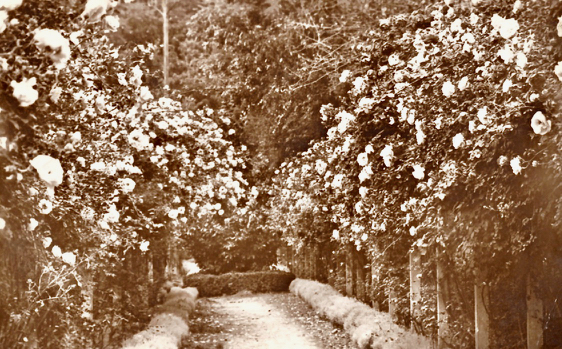 113 La Roseraie