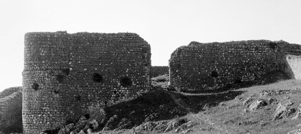 20-25010 (1)
