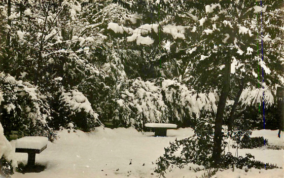 166-g Sq maurial 1927 T