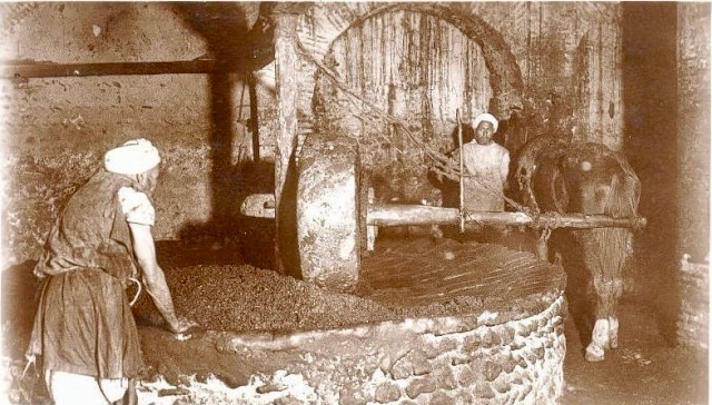 moulin13