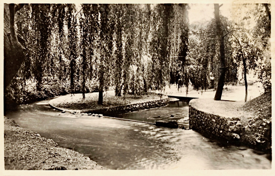 134 Oued vers la piscine