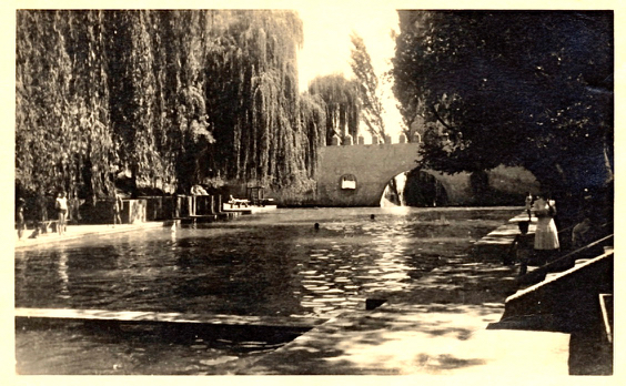 135 La piscine