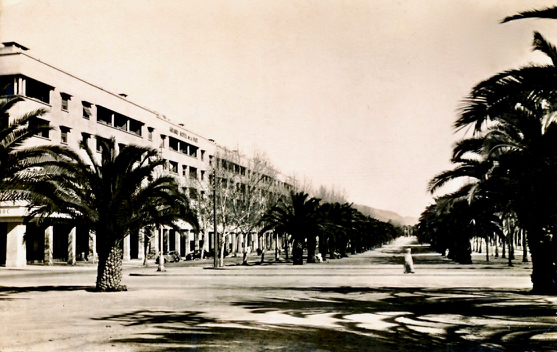 128 Avenue de France