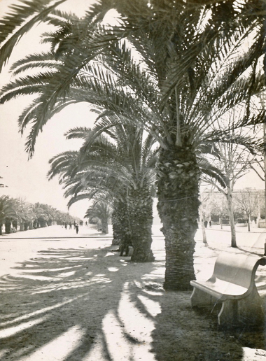 133 Avenue de France