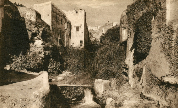 065-d Oued el Youdi