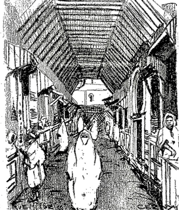 Sans titre 2 (1) copie