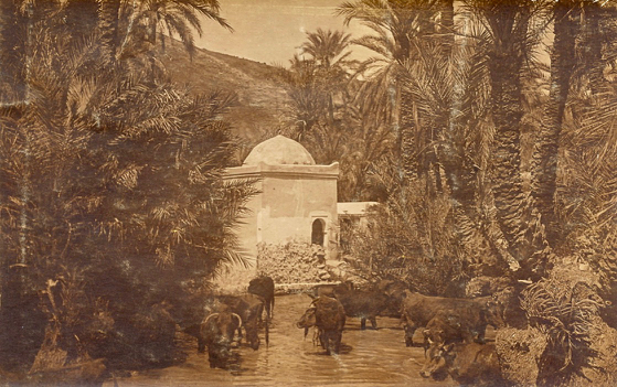003 Marabout (1)