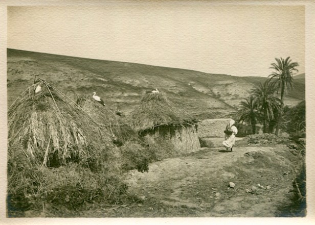 Sidi Harazem651 (2) copie