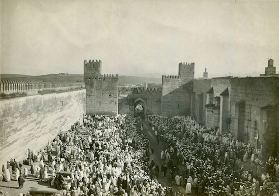 Sultan Mechouar 1928731 (1) copie